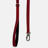 Guia para Cachorro Aquarela Rubi